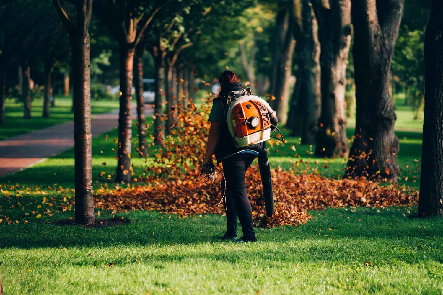 Best Commercial Tree Services  in Bellevue, MI